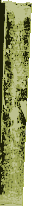 dndlog